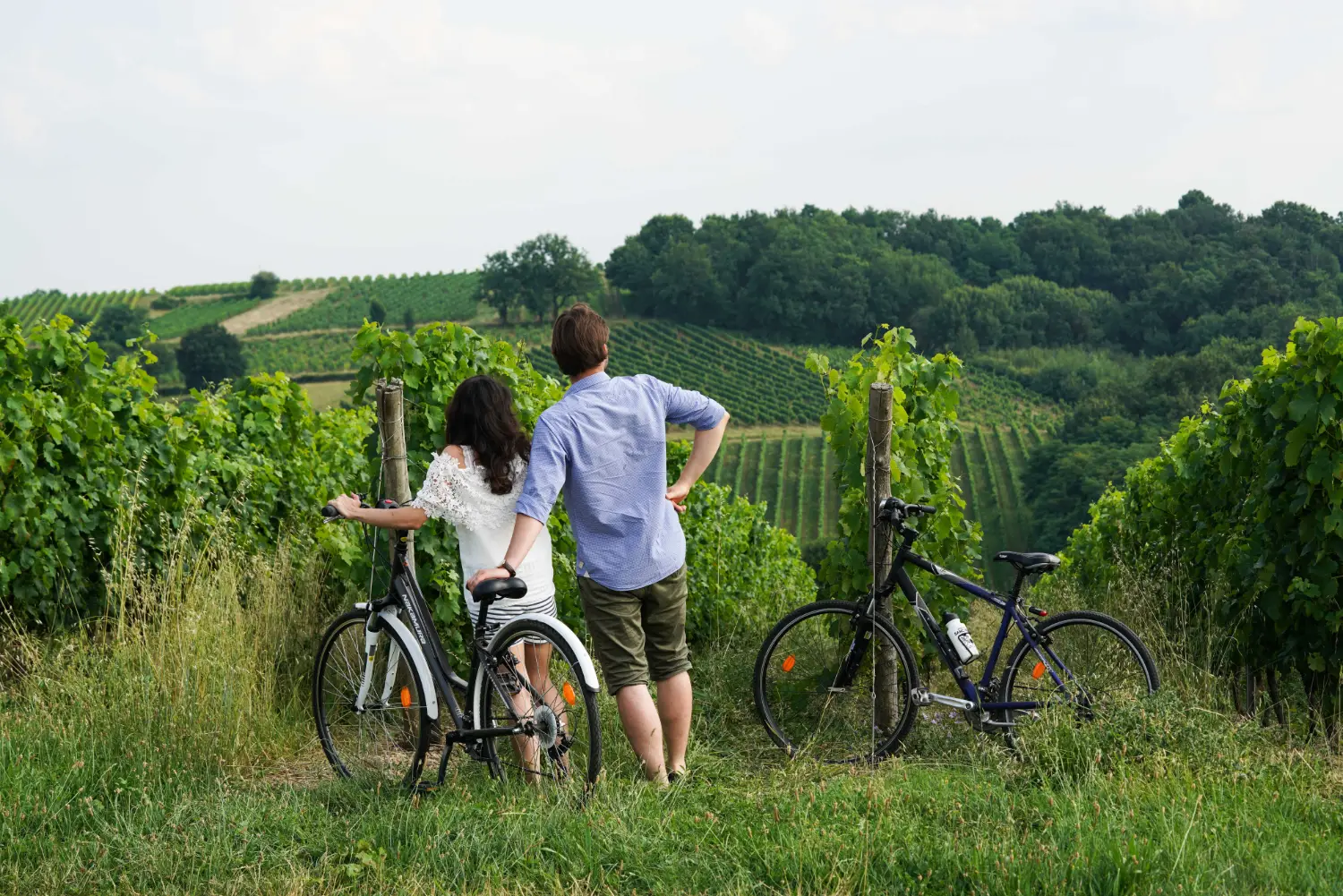 Balade à vélo avec Alsacyclo.tours